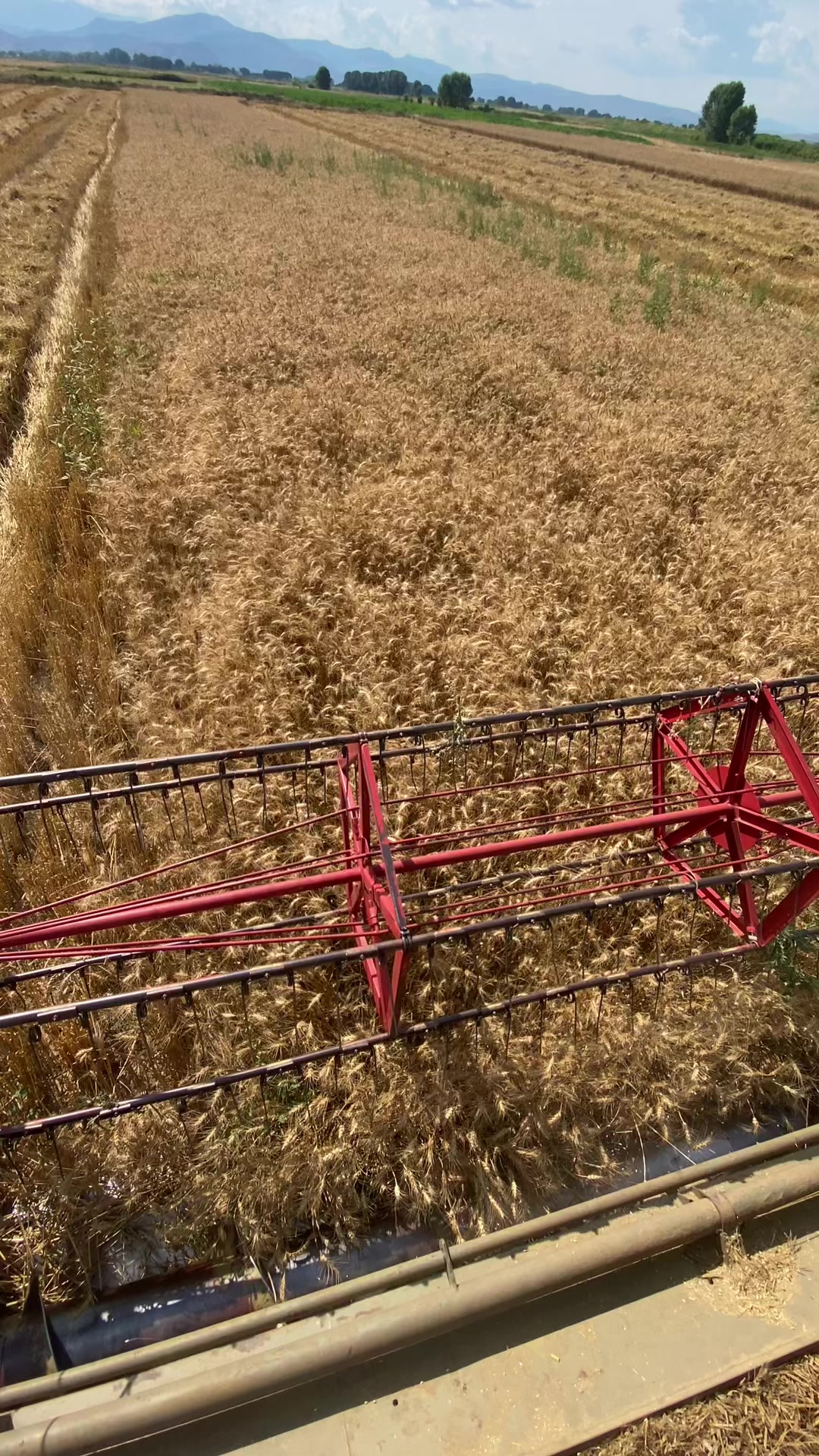 @FIATAGRI 8090 TURBO