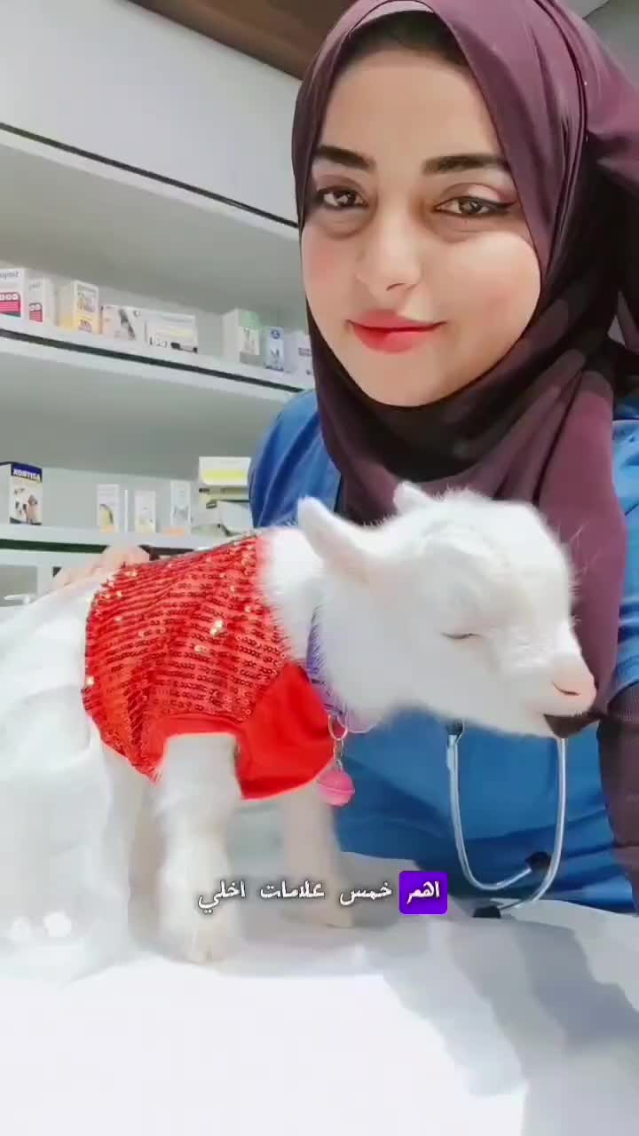 @هــــابـــي بــــــت