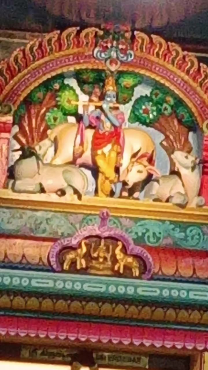 @manjari