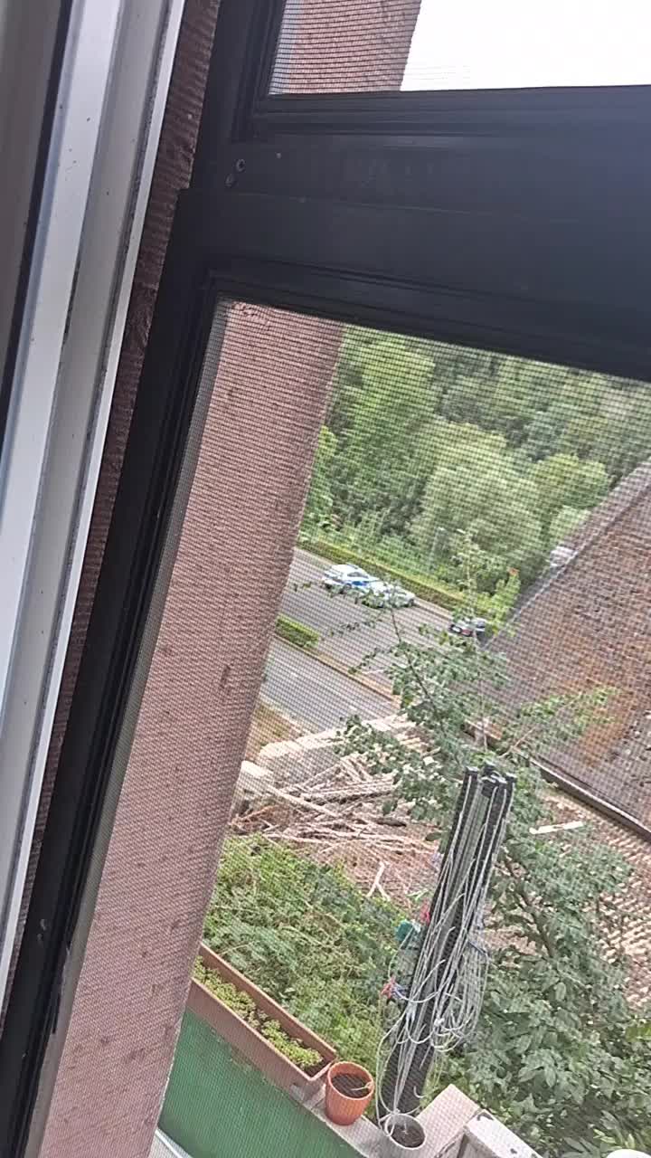 @e scooter videos