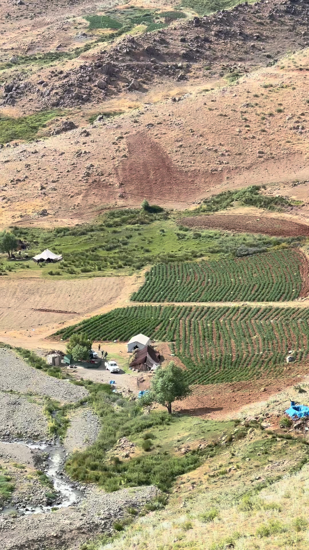 @ئاراز برادۆستی