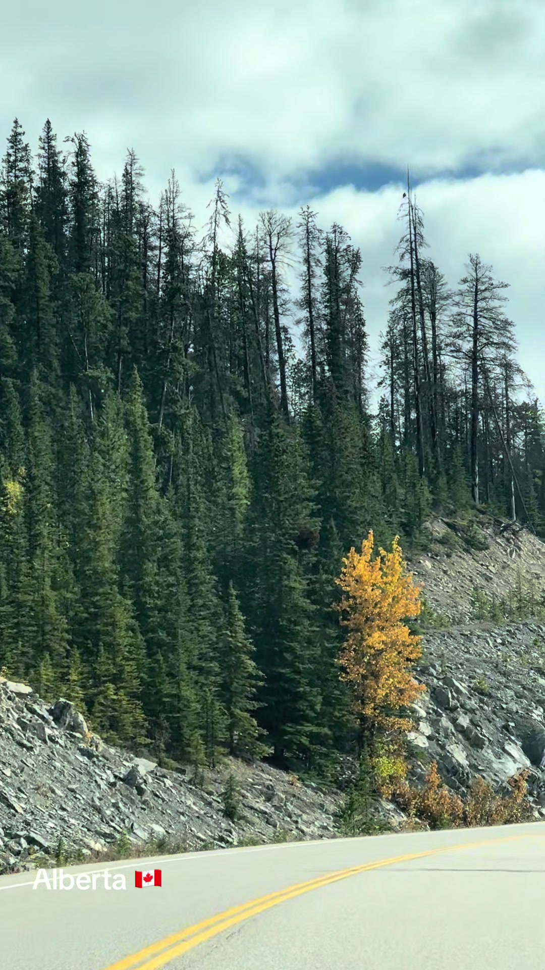 @Ada 🇨🇦