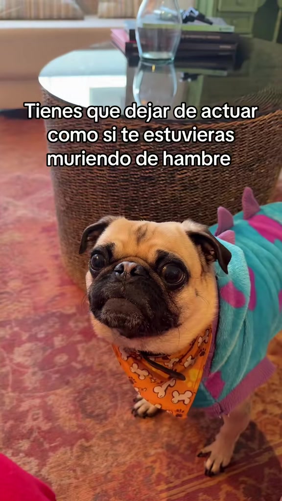 @Alexa&elcarnalchiss