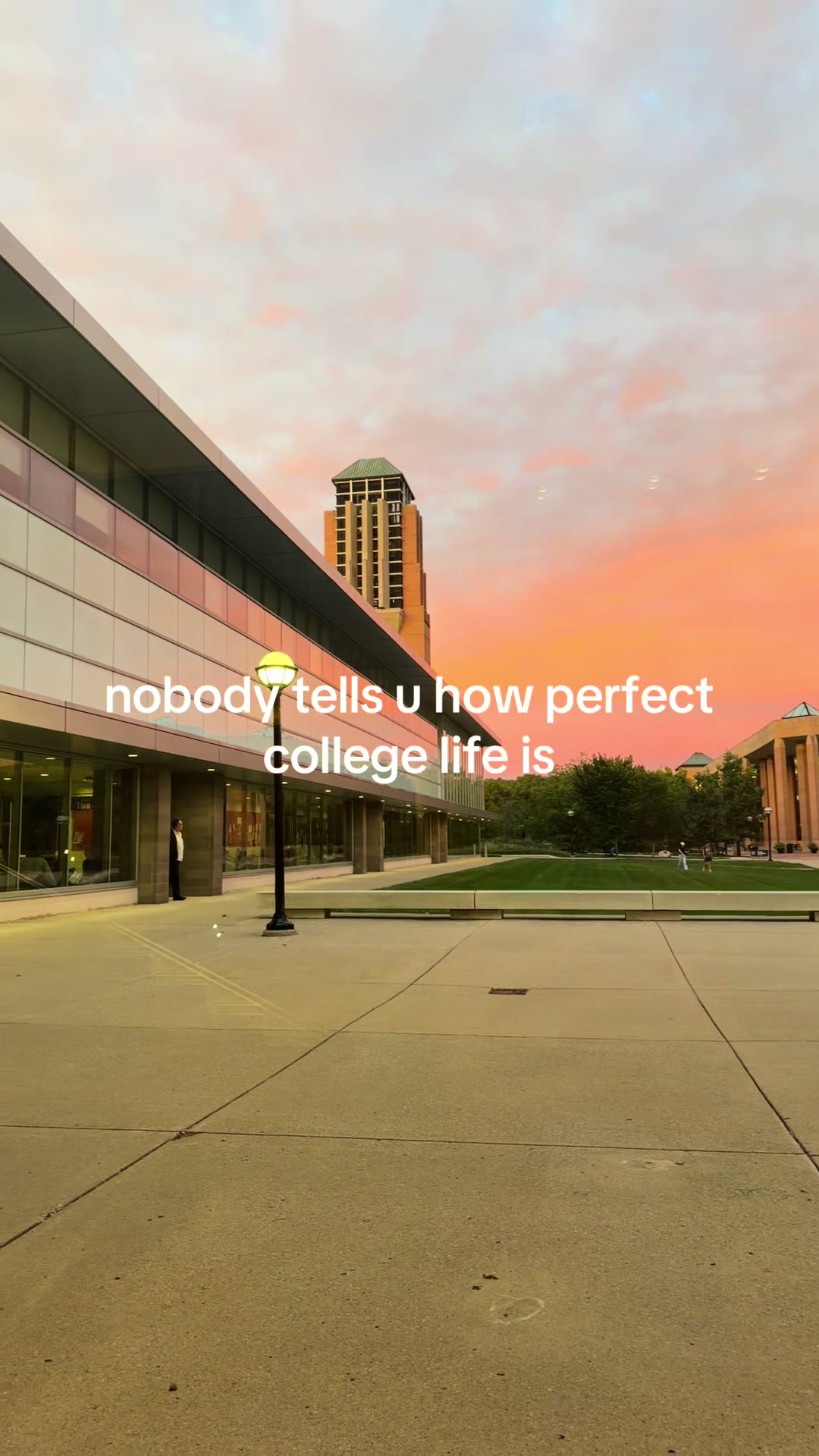@ari mj