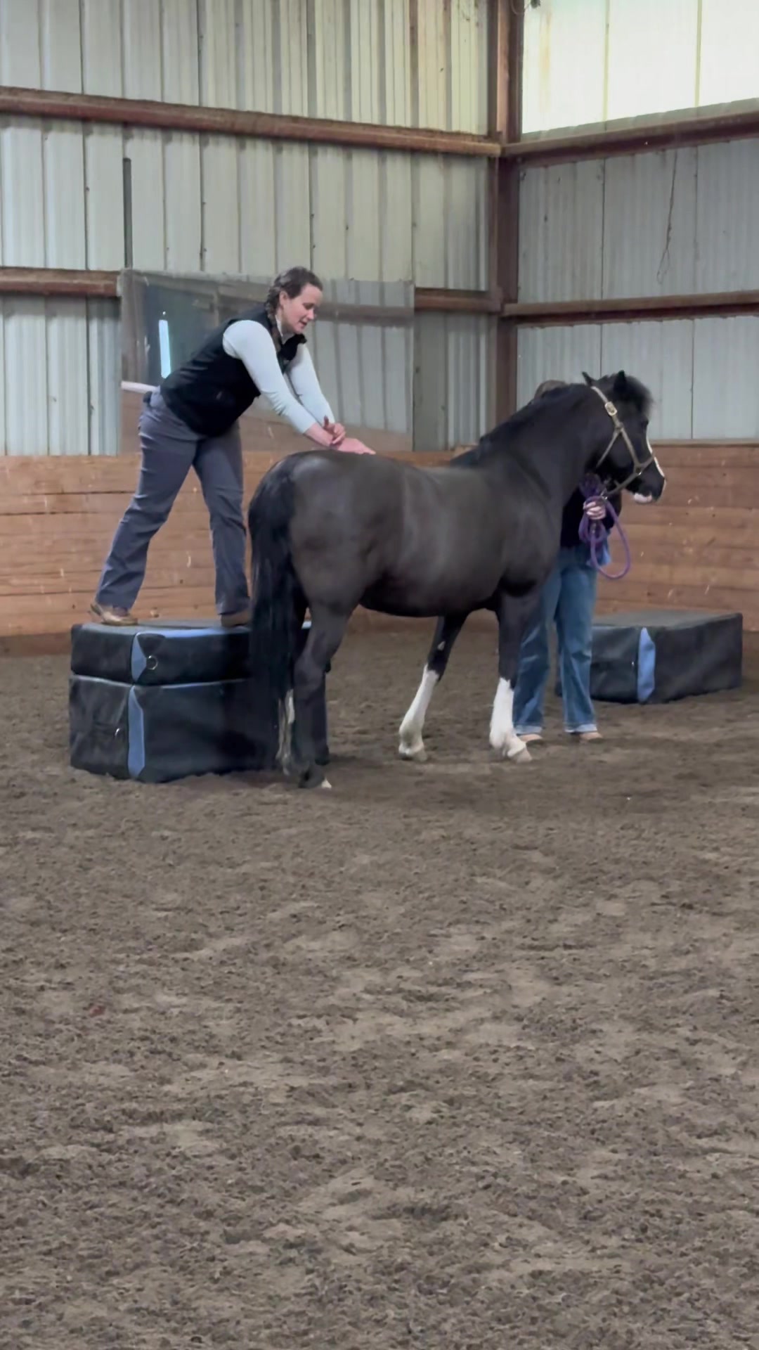 @Rhinebeck Equine