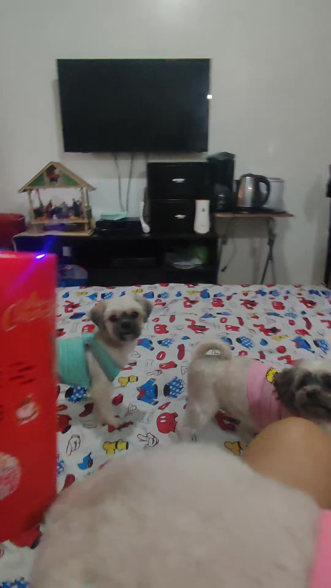 @๐ต๐ญ๐Gee Libao ๐๐ต๐ญ