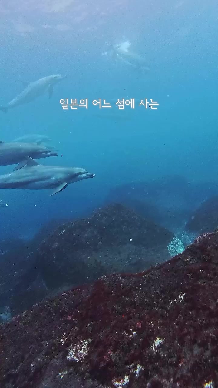 @별빛하트