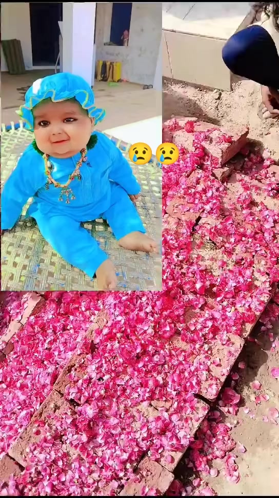 @shahbaz Punjabi 0786