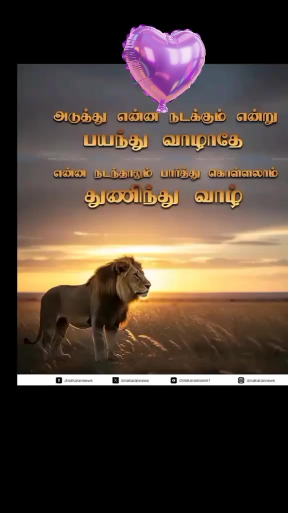 @user35065586394432