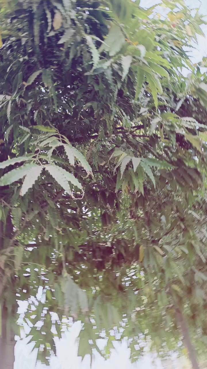 @𓆩زخمی دِل𓆪