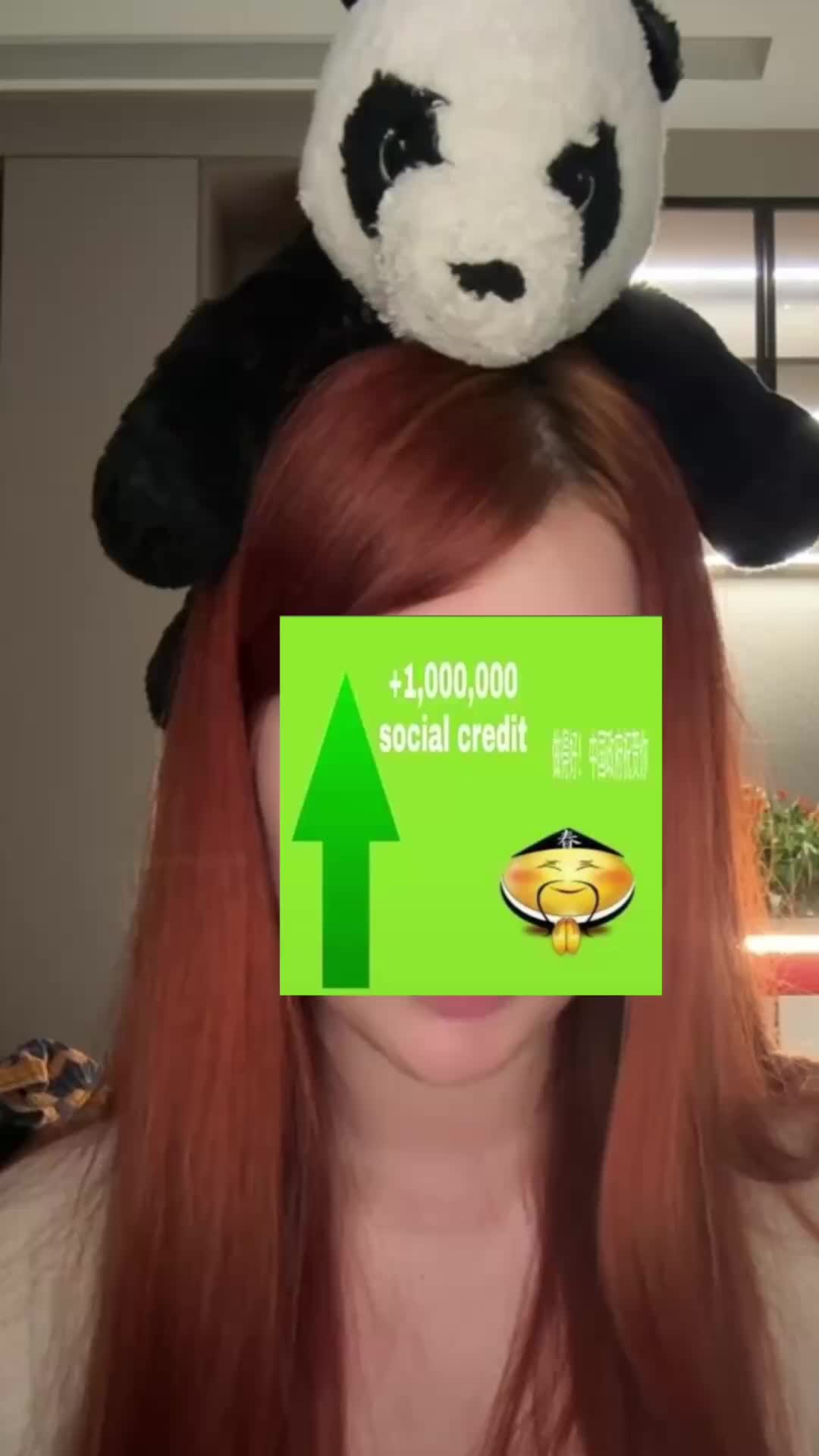 @dvbonbon