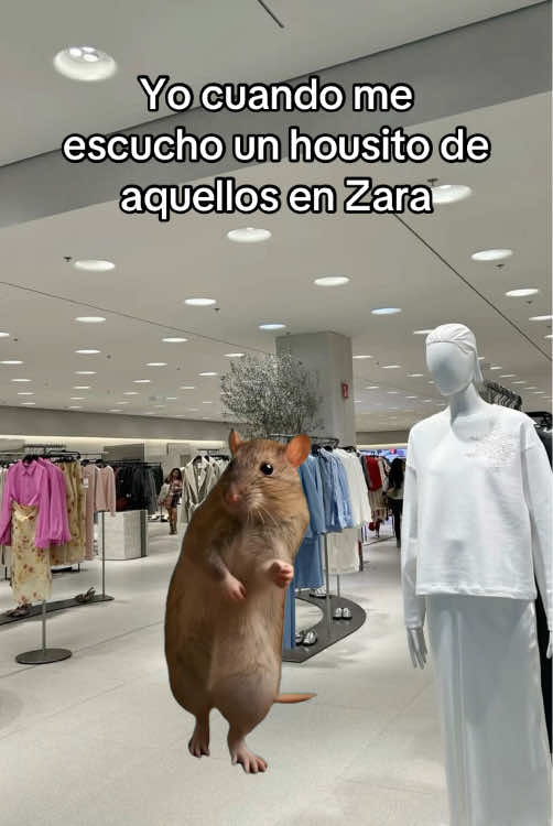 @zaratemazos