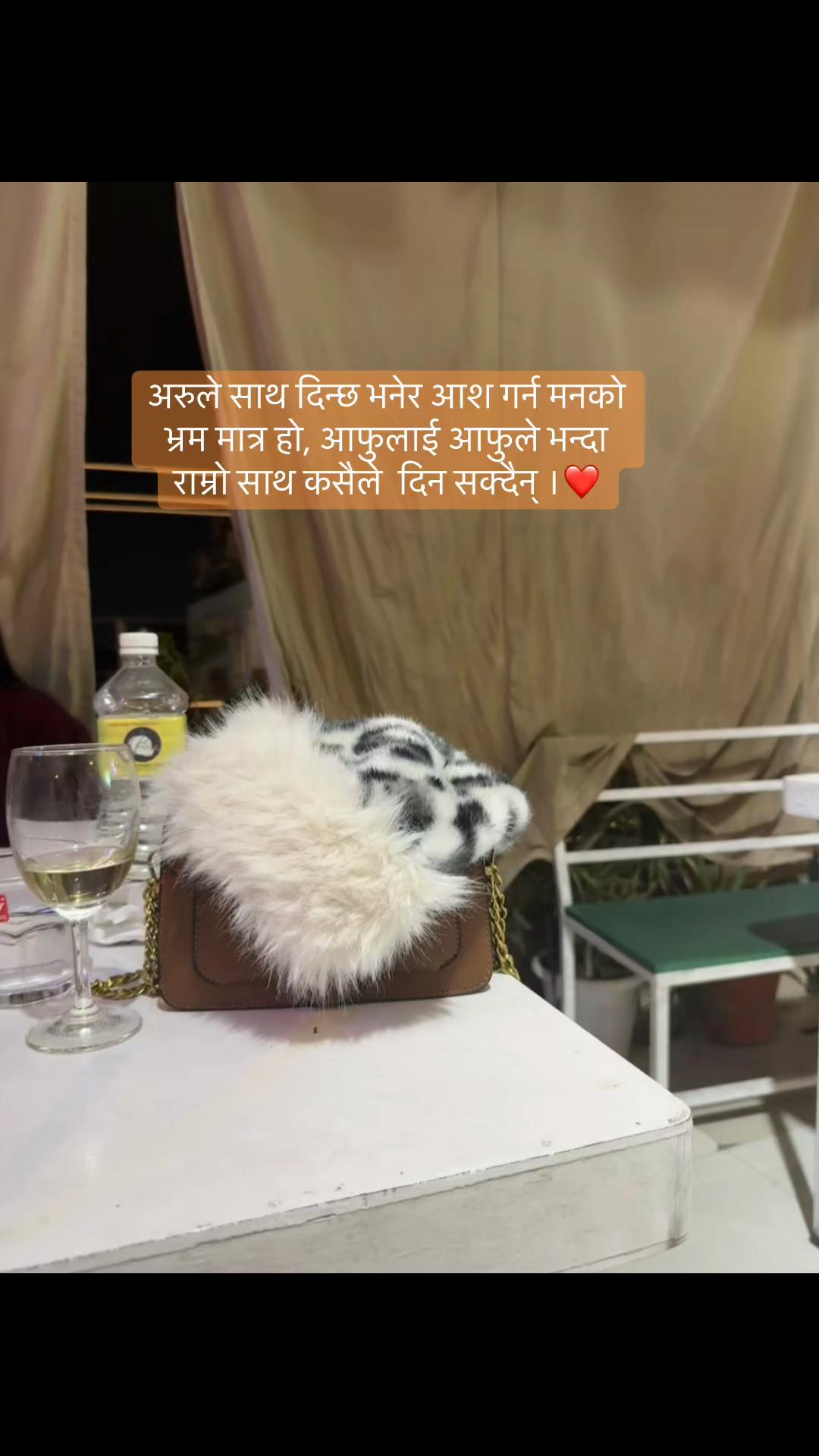 @🕊️🐾