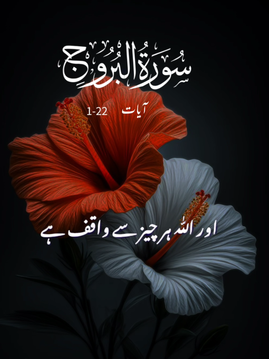 @umarimran786