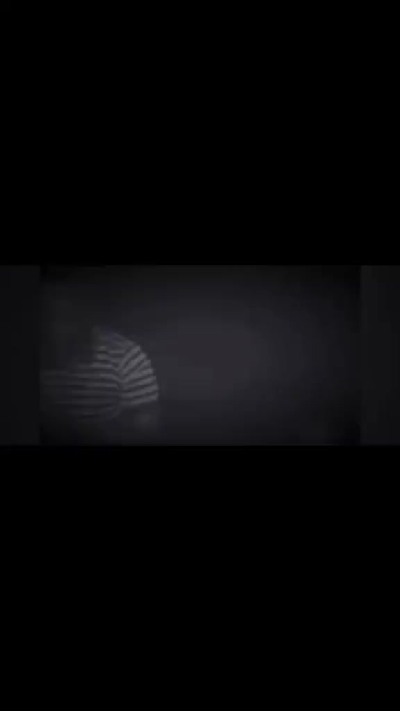 @المصمم سلوم