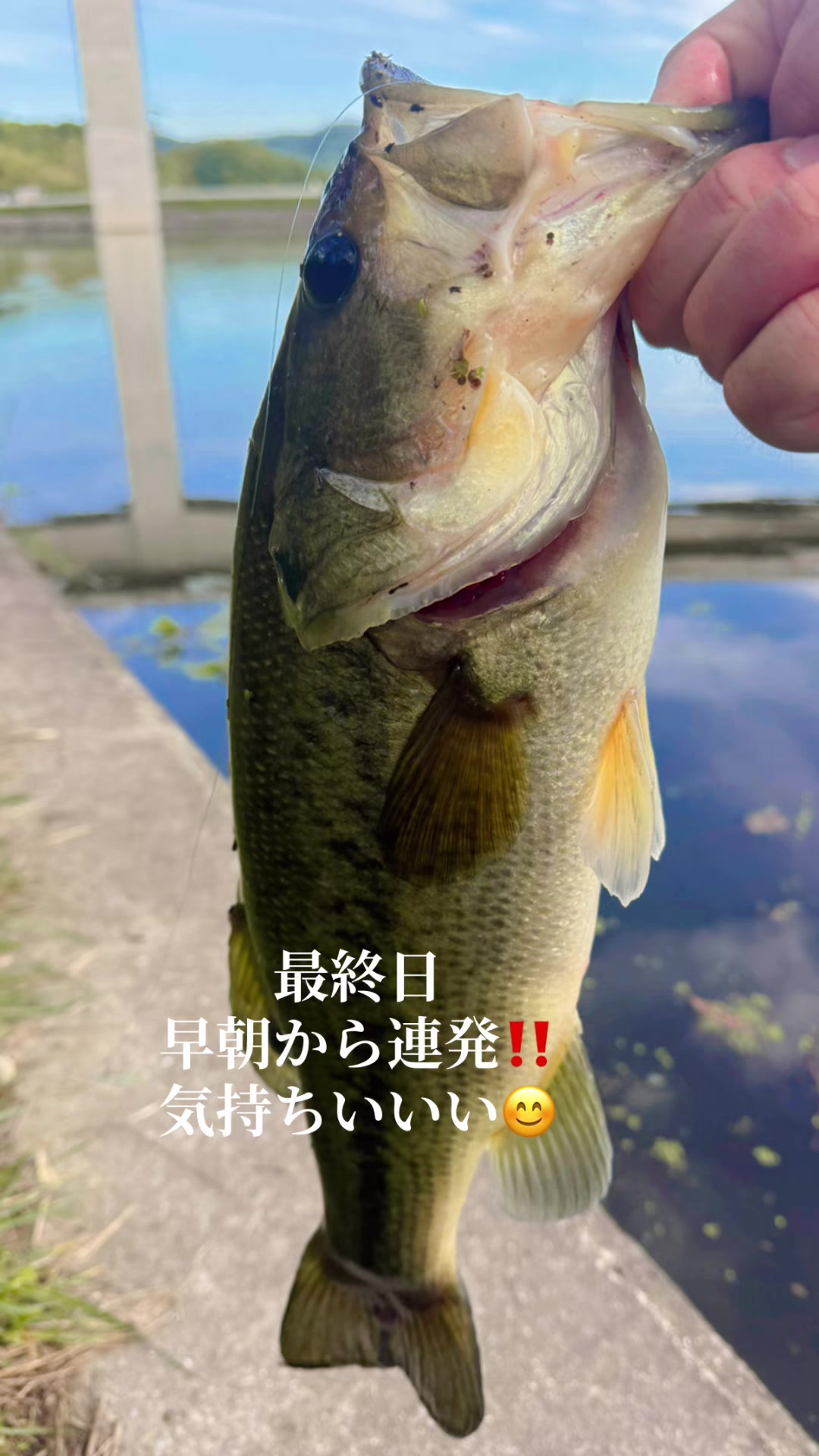 @片田舎のおっさんブラックバスを釣る