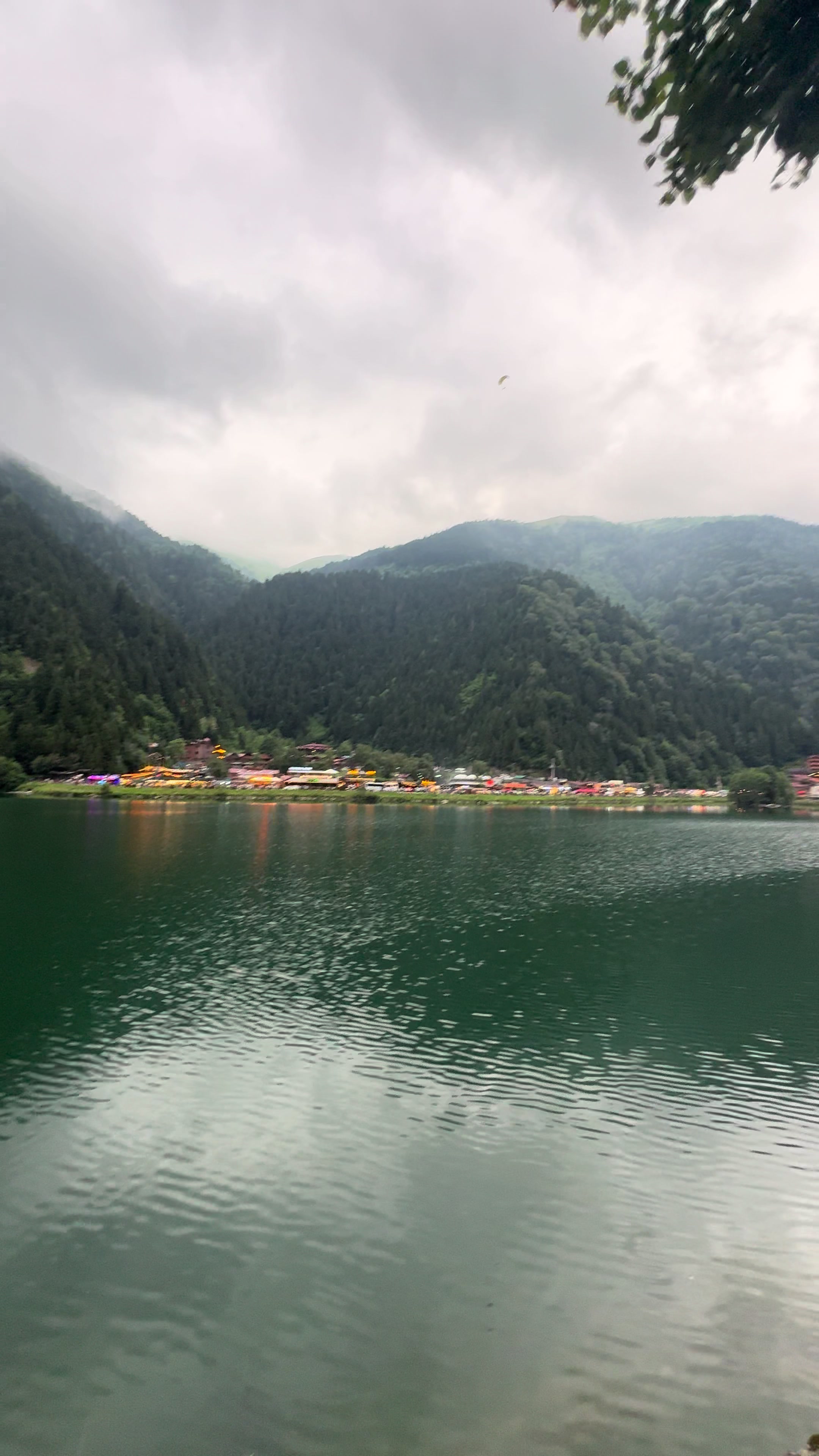 @Mutlucicekler.com