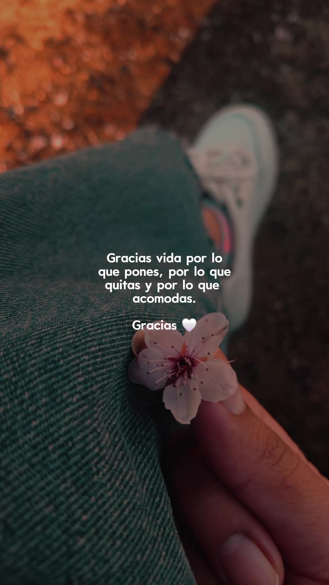@𝑴𝒆𝒓𝒚𝒆𝒎🖤