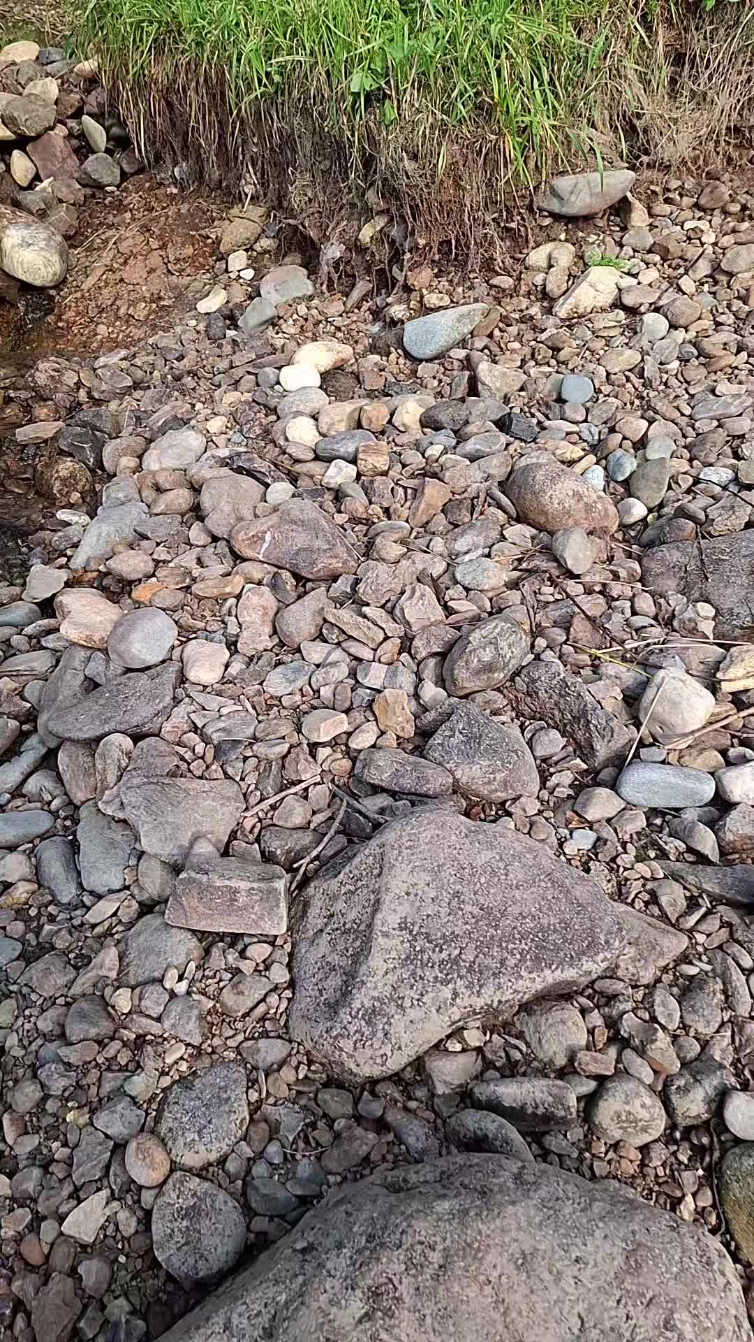 @Ириска☑️