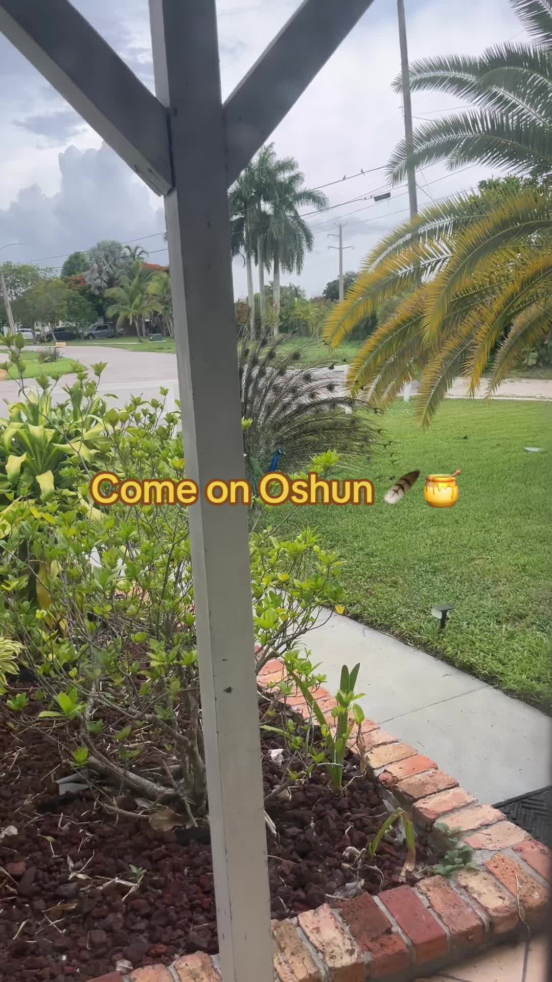 @LIGHTWORKER Shi👼🏽🧿✨