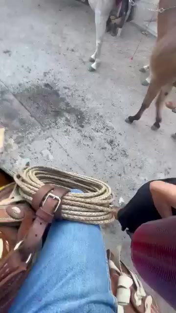 @ðððð ð¬ððððð
ð