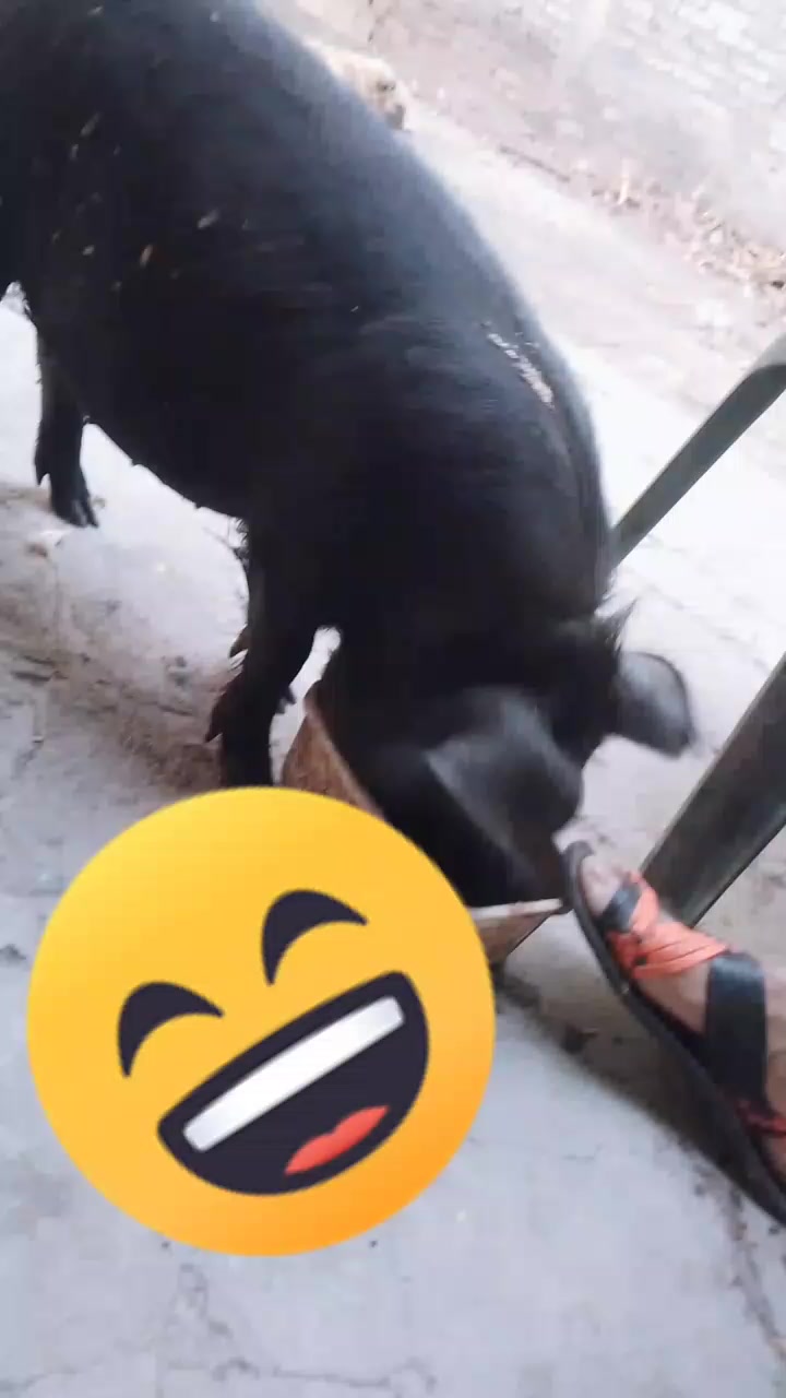 @Nayeli Bazan