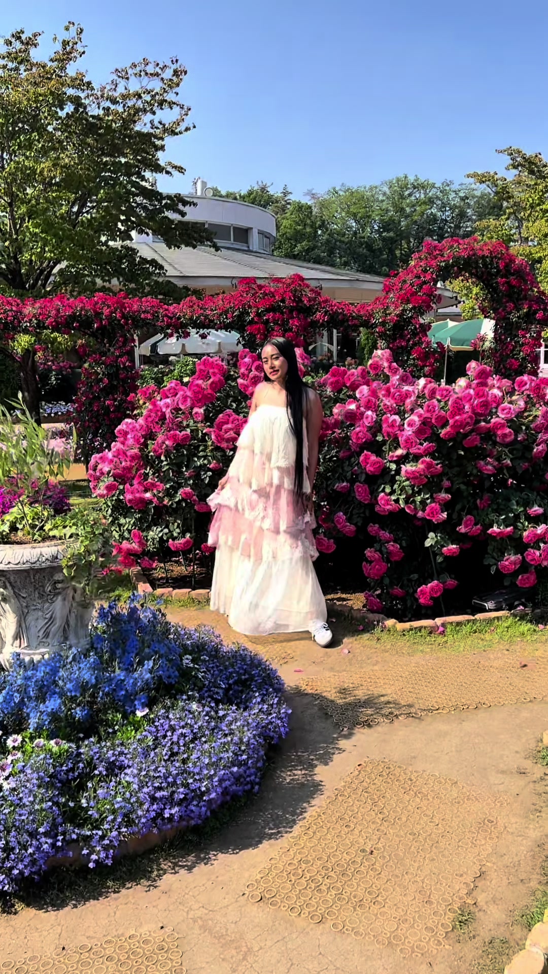 @ฝ้ายที่ปลูกกุหลาบโคตรเยอะ