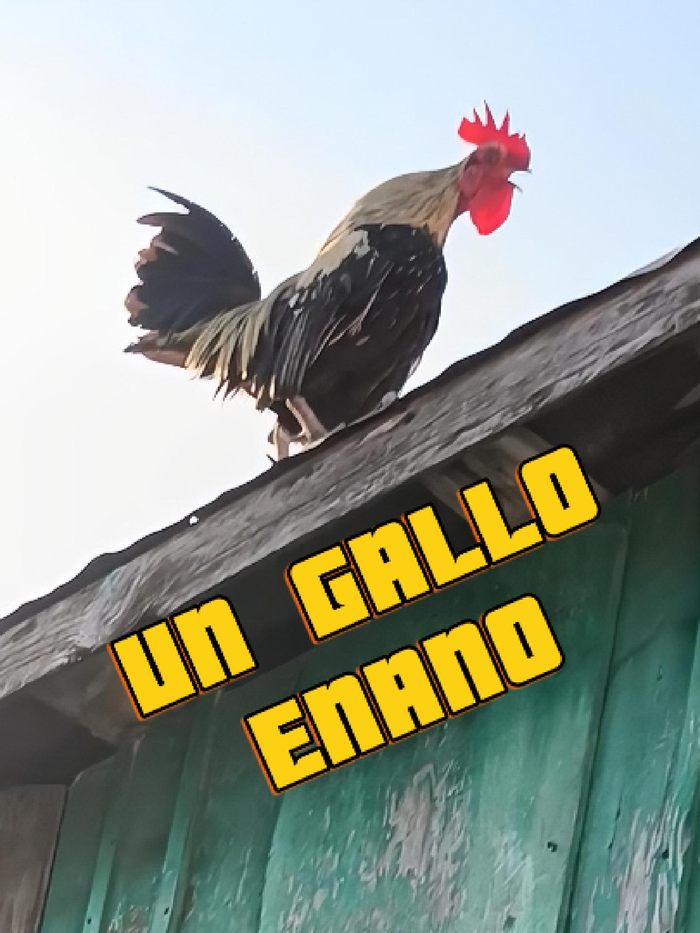 @Lucio Lucian