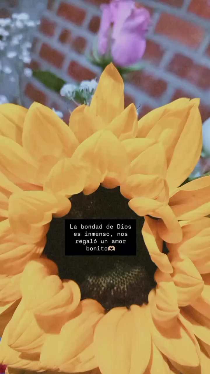 @Geemely🩷