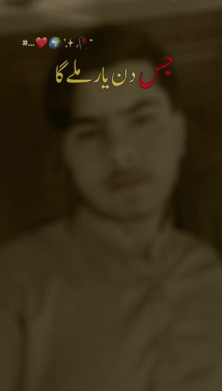 @Zain Ali