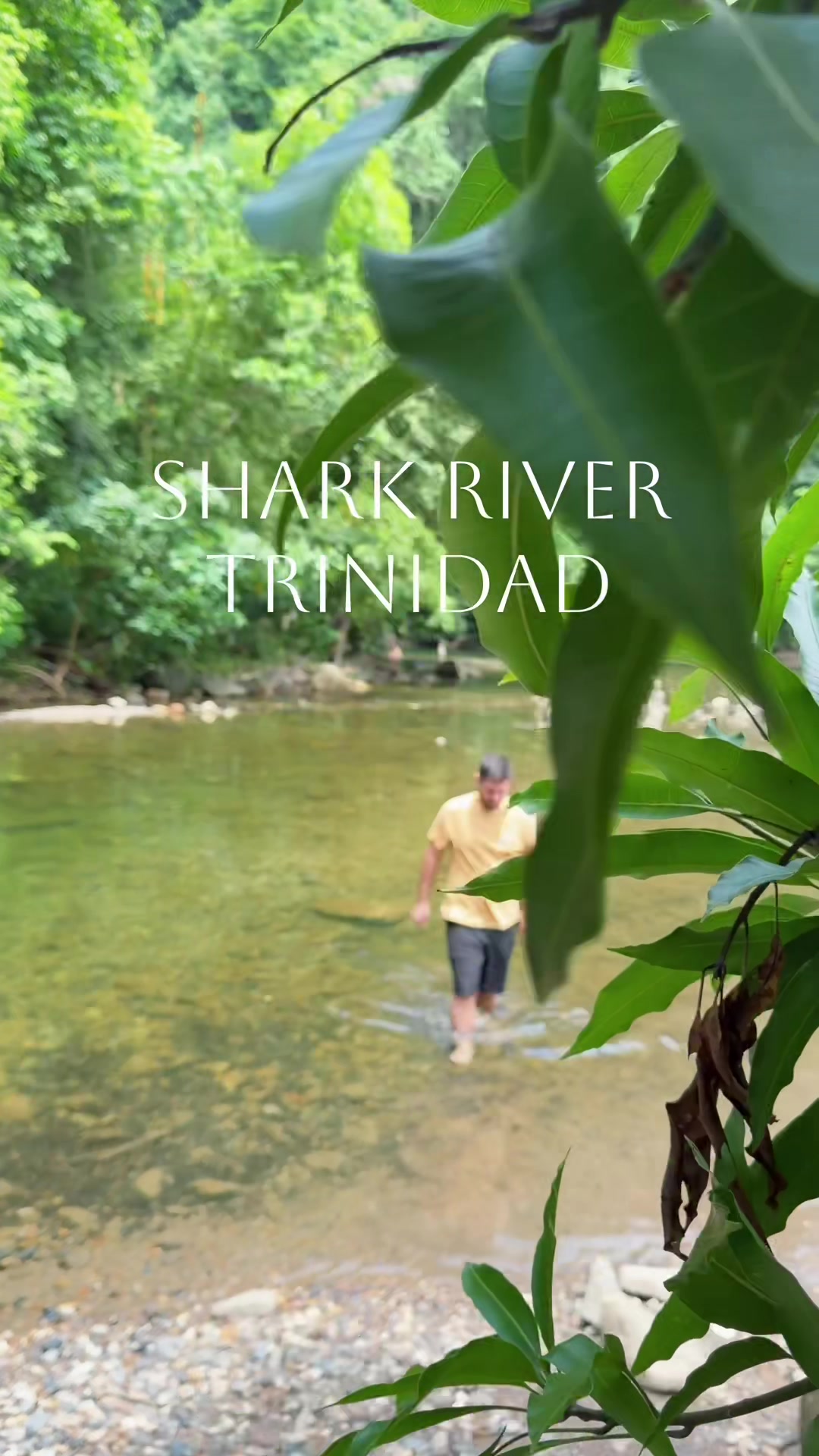 @Trini Surfer™️🇹🇹