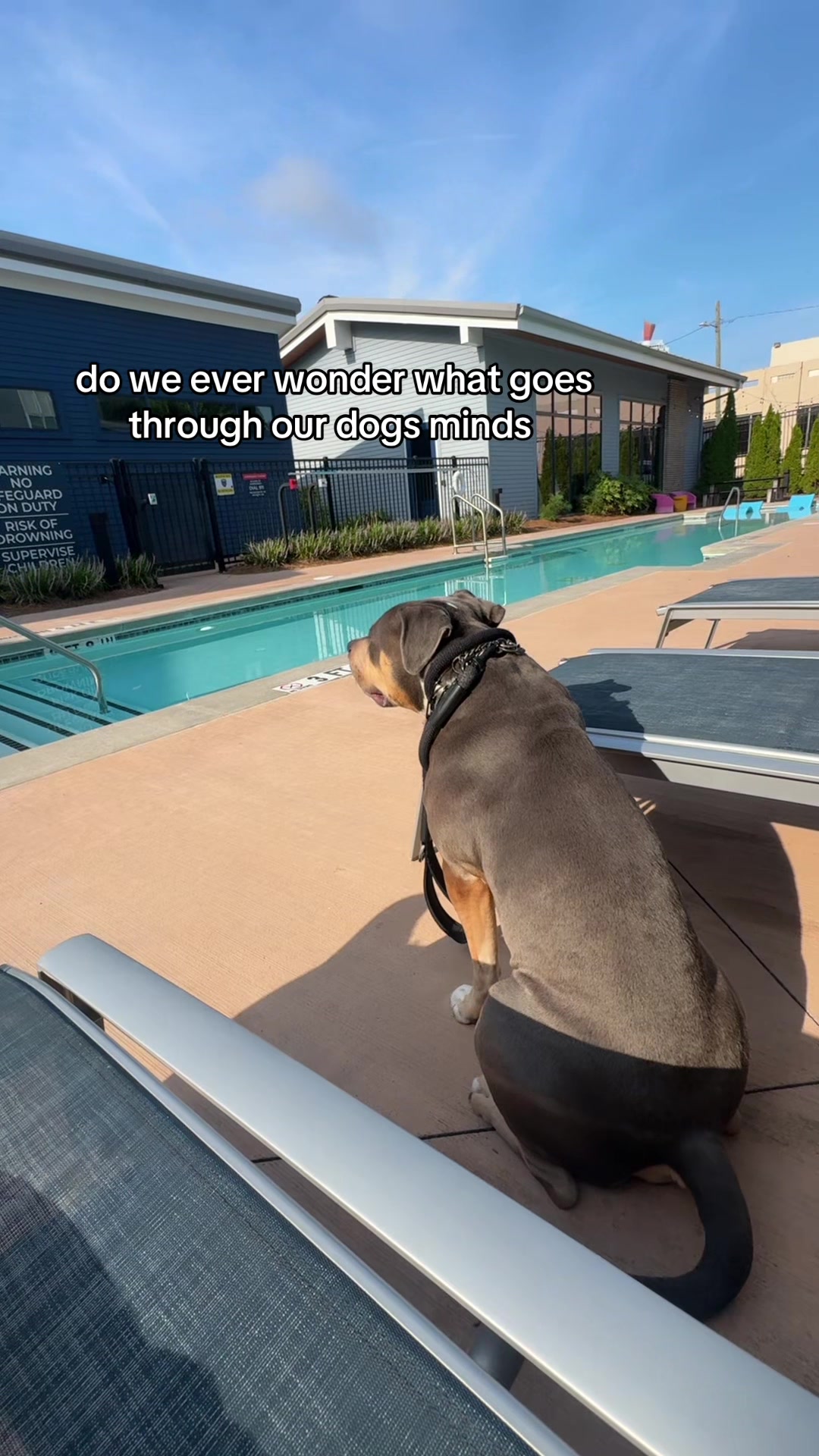 @dindu