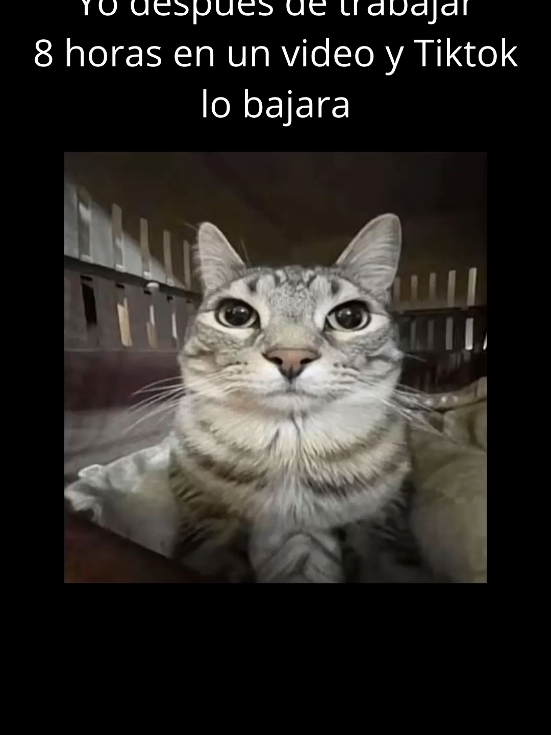 @ReibunCrow