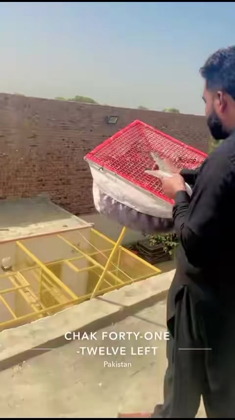 @mani Dogar 7/11