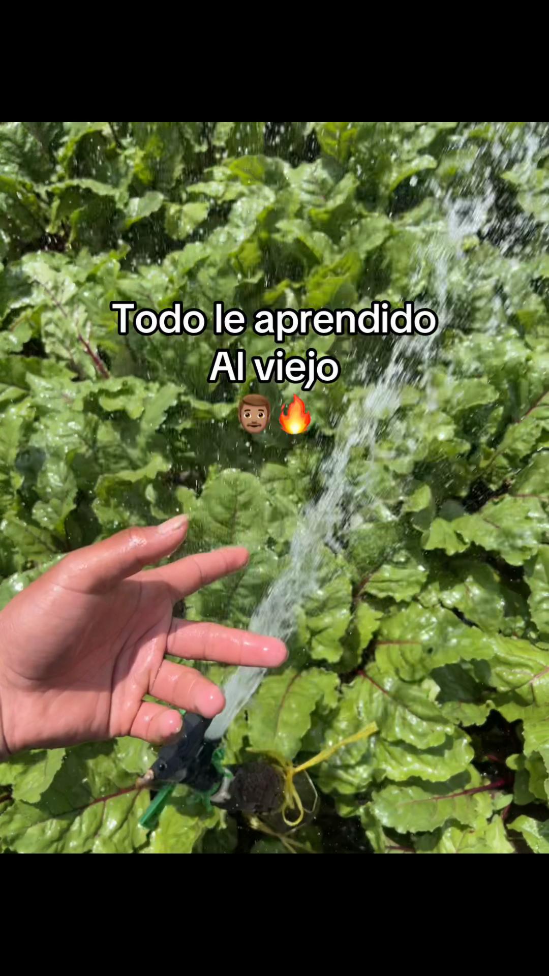 @ Brayan 🤴🏻🔥