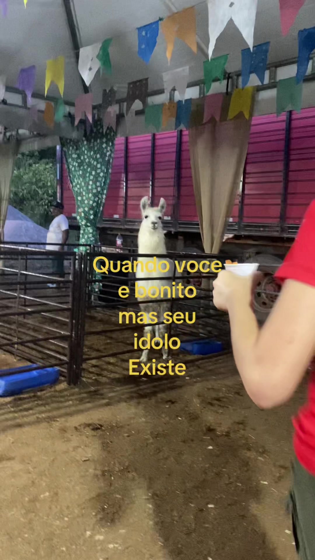 @João Batistela