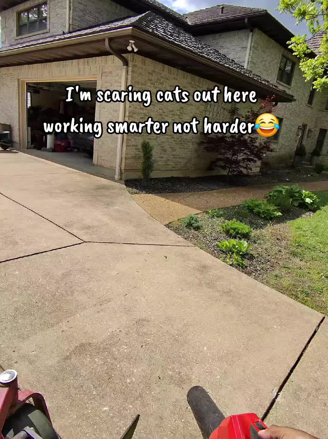 @Stripeleader