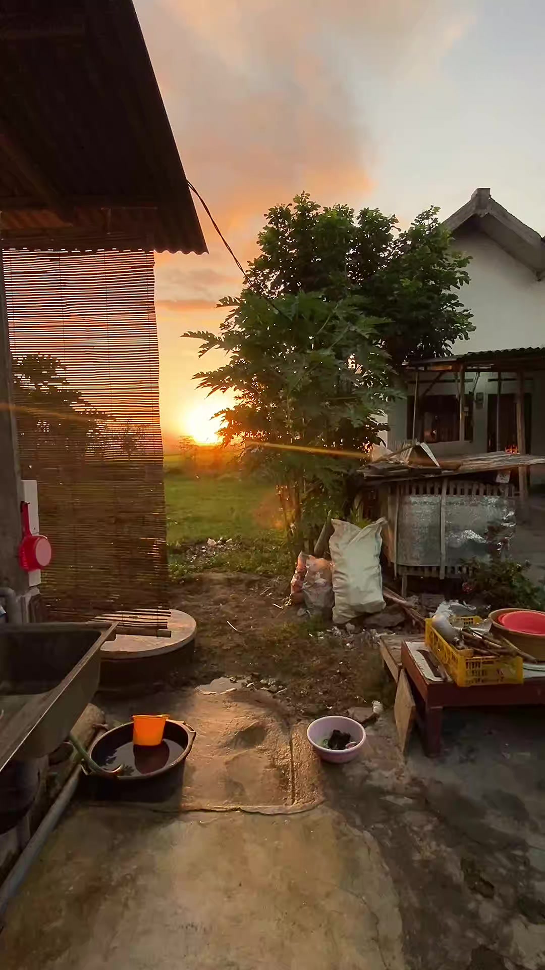 @dolantenanan