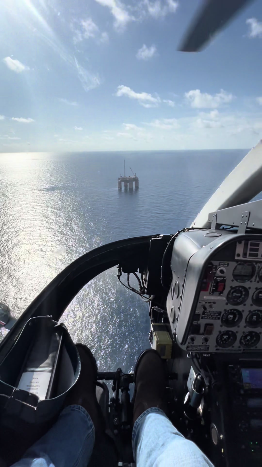 @back_yard_birding