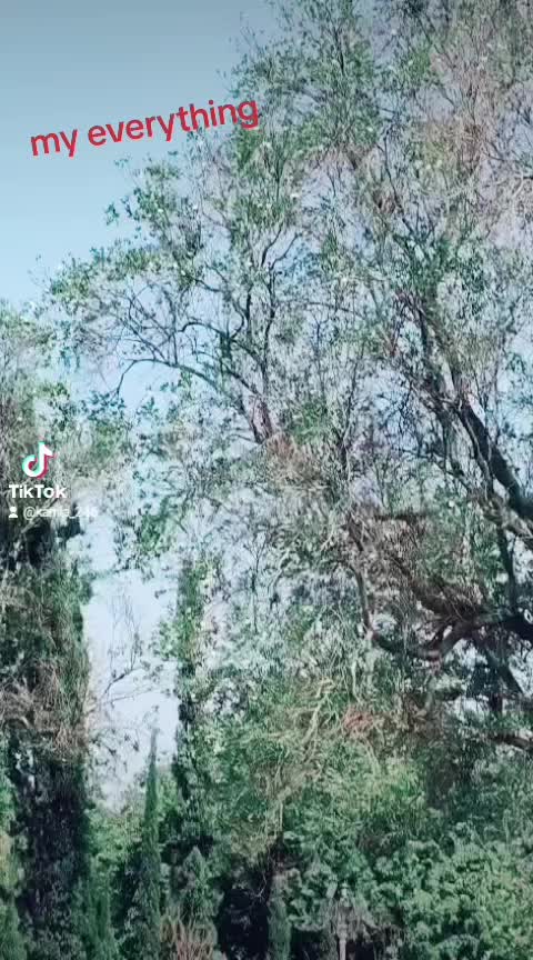 @kamala 123