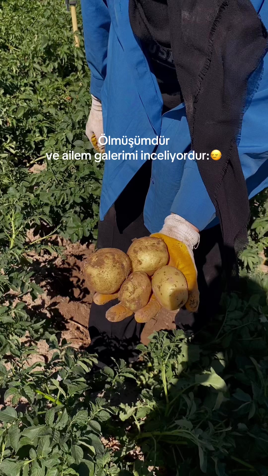 @Melike.blcii
