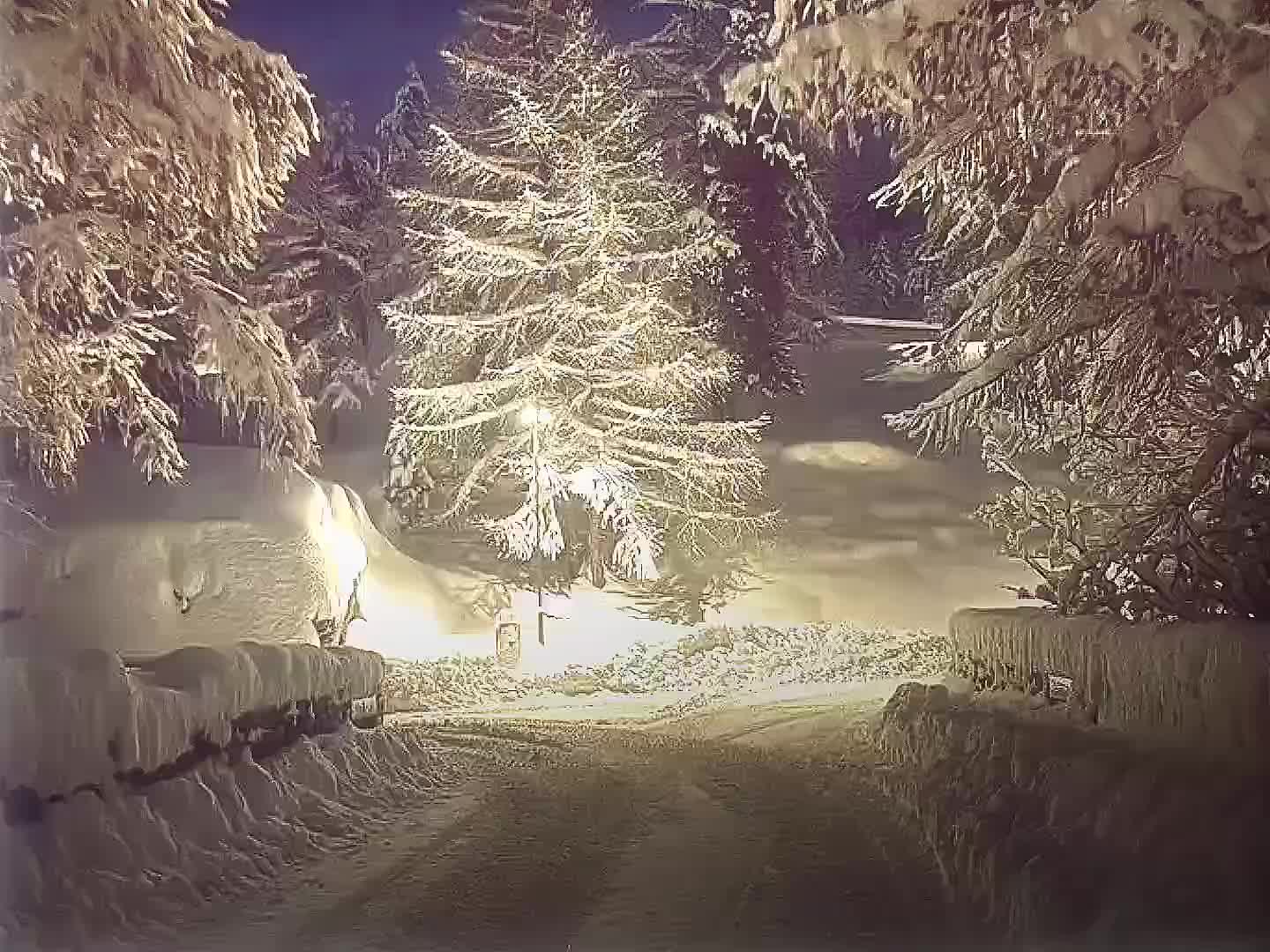 @елвс