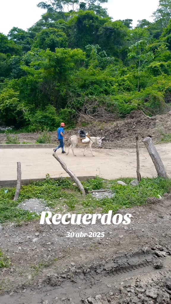 @PedroBaldallo 07