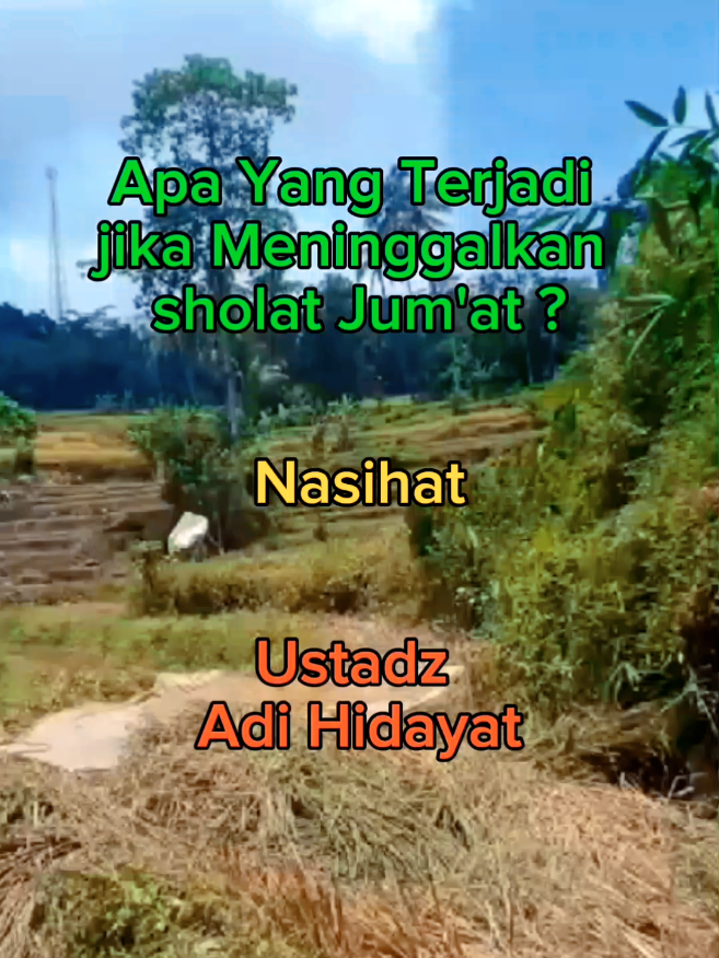 @mas Ocan