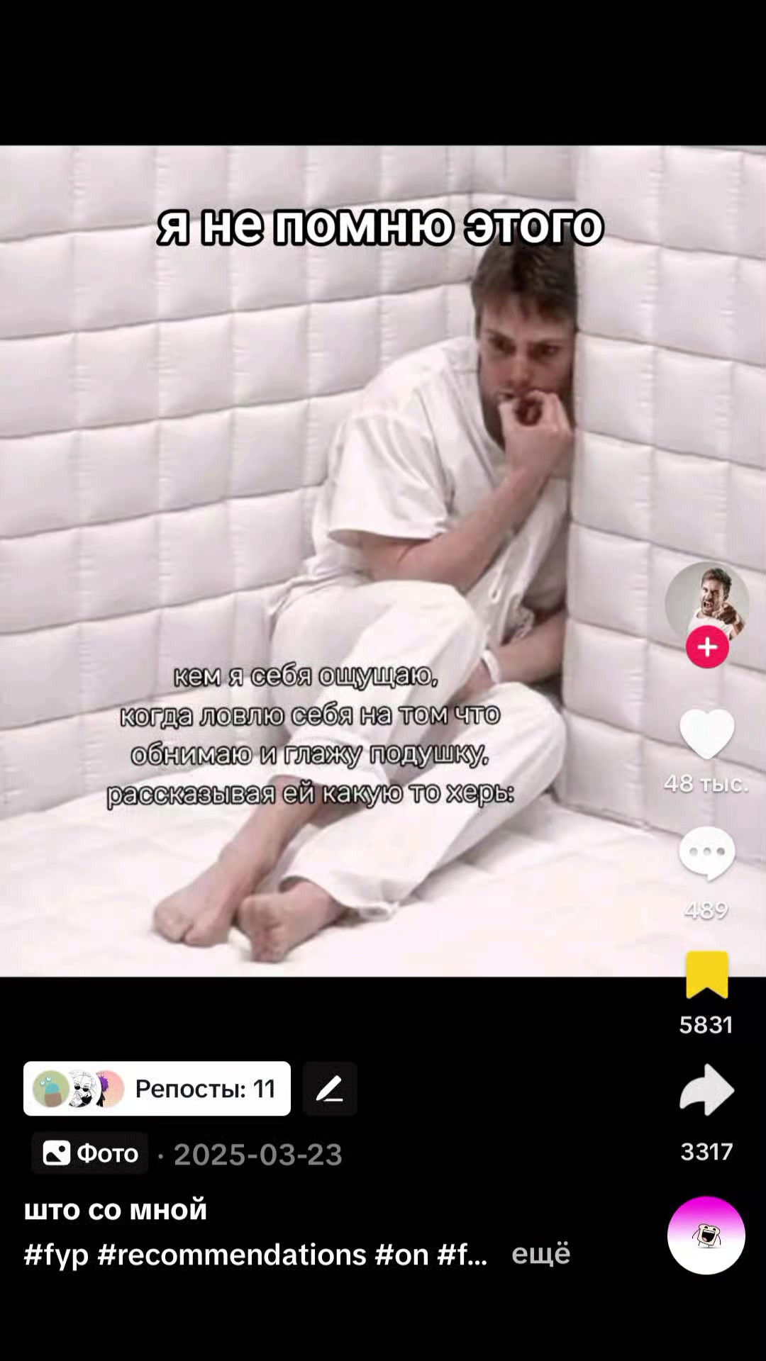@sir kochka