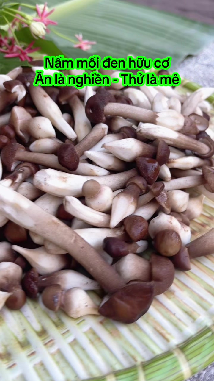 @nguyentuyet_79