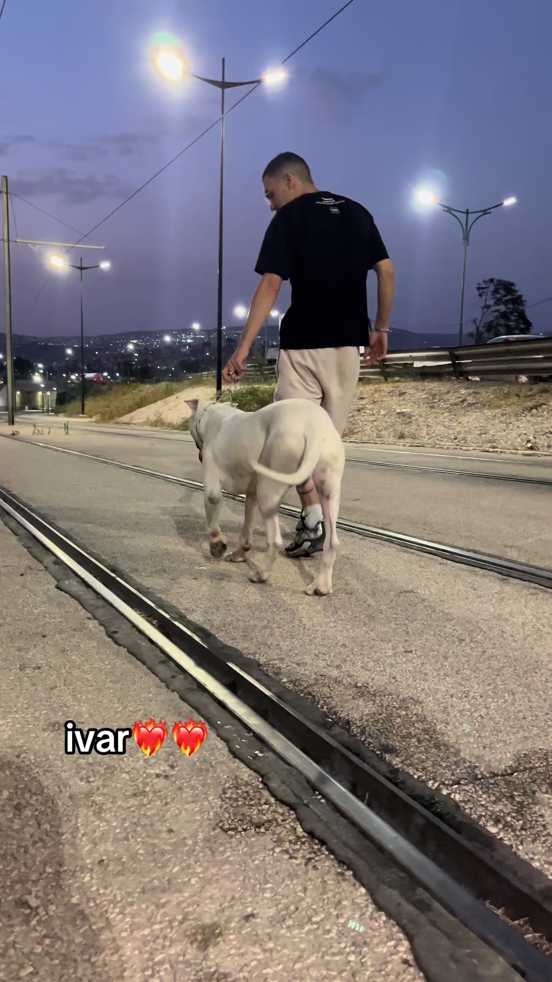 @DOGO ARGENTINO R.A.S🇦🇷🔥