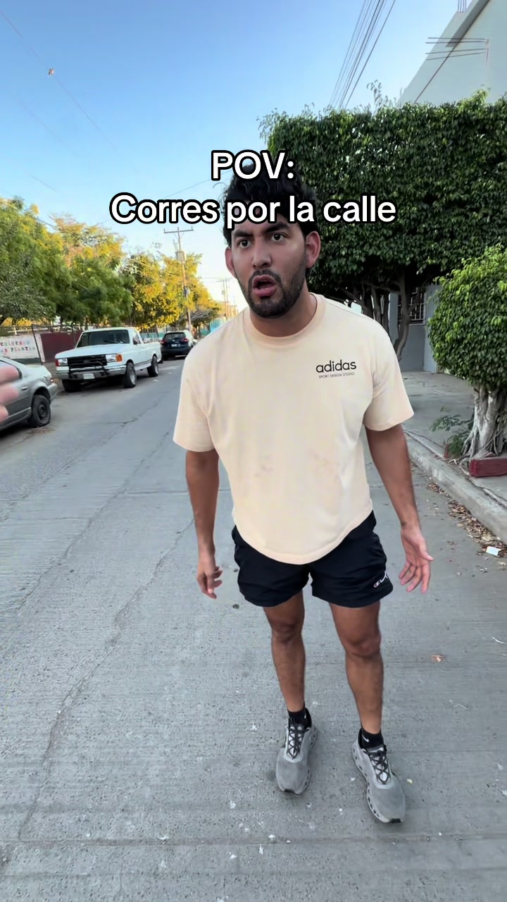 @paulpulidoo