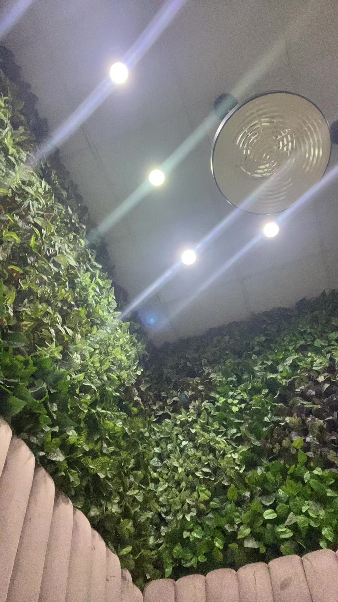 @Rajina🥰🥰