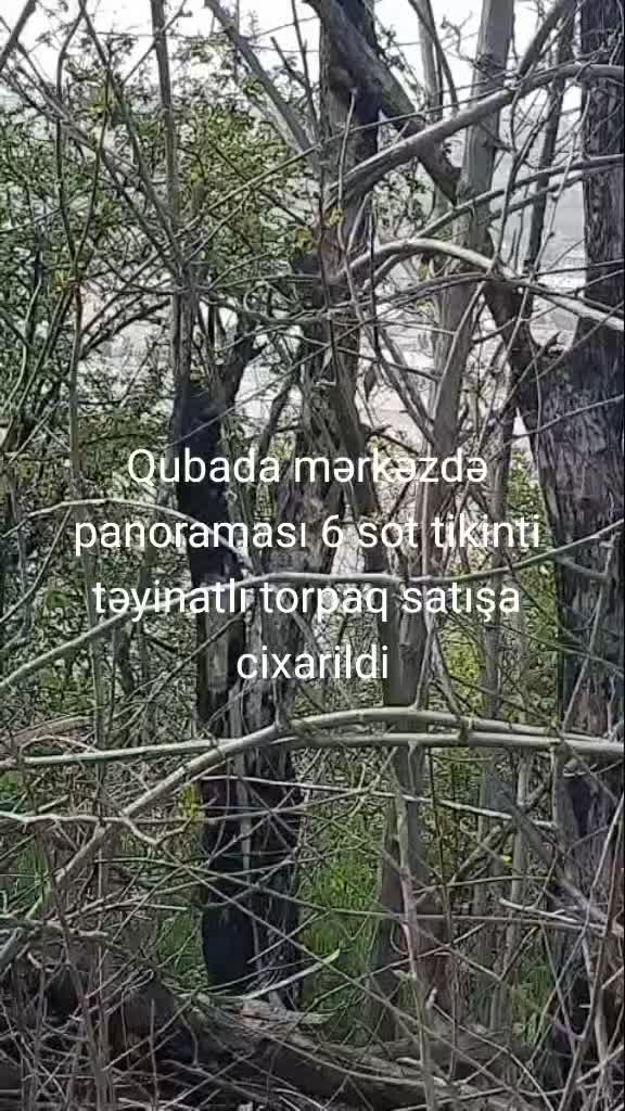@Feran Mehtiyev